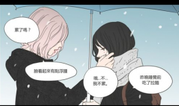 les 漫画,Les漫画中的情感旅程