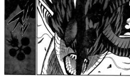 黑色五叶草漫画在线,魔法世界的青春热血传奇